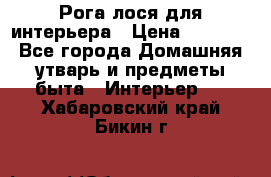 Рога лося для интерьера › Цена ­ 3 300 - Все города Домашняя утварь и предметы быта » Интерьер   . Хабаровский край,Бикин г.